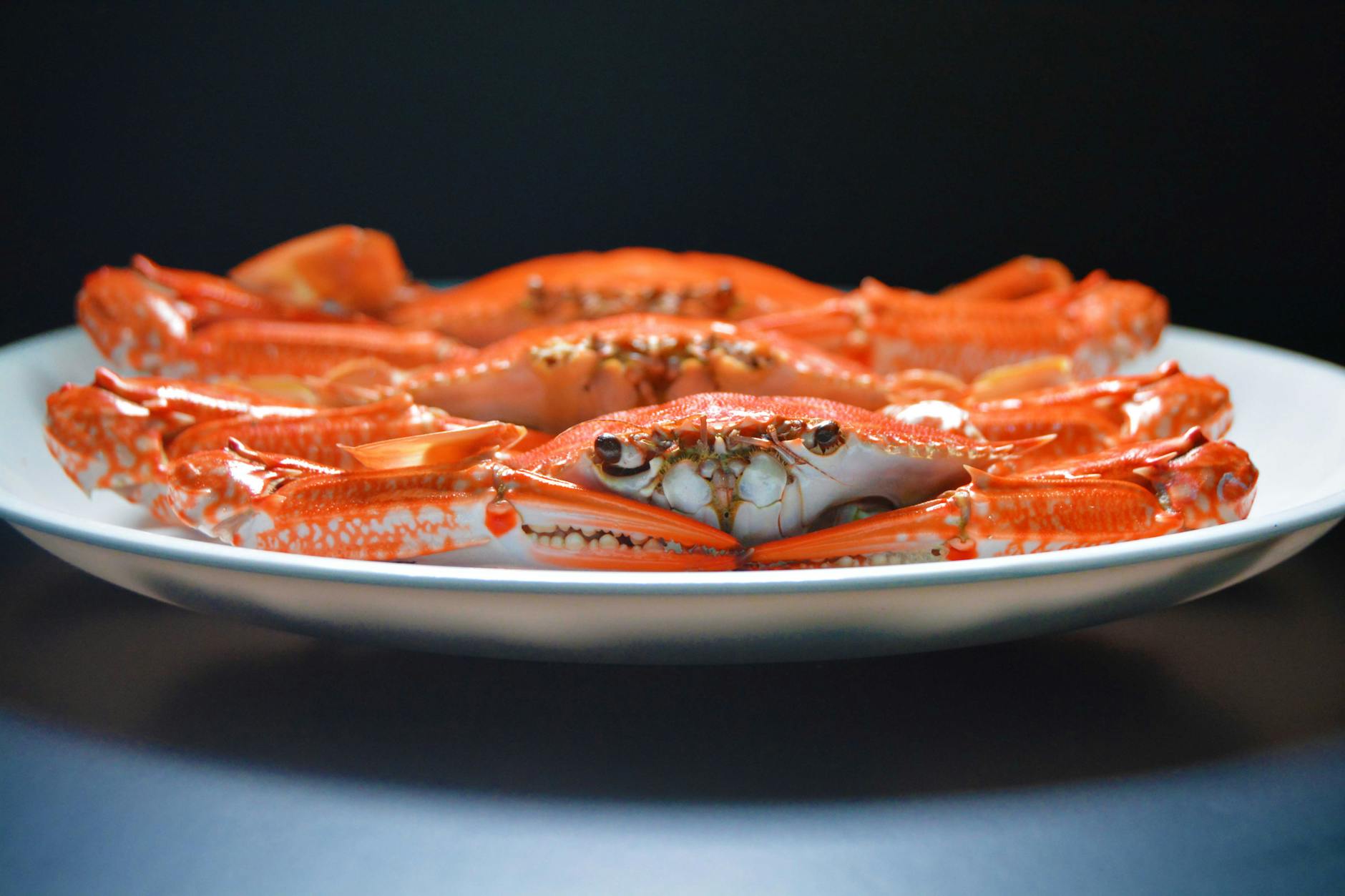 Shanghai food guide — hairy crab, Shanghai's prized autumn delicacy