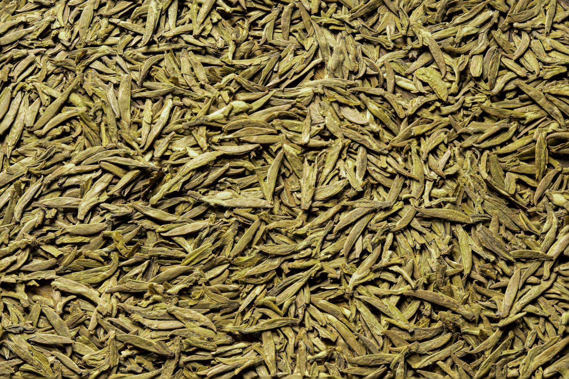 buying tea shanghai longjing