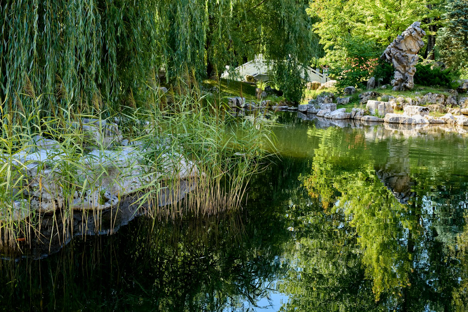 free attractions shanghai fuxing park gardens