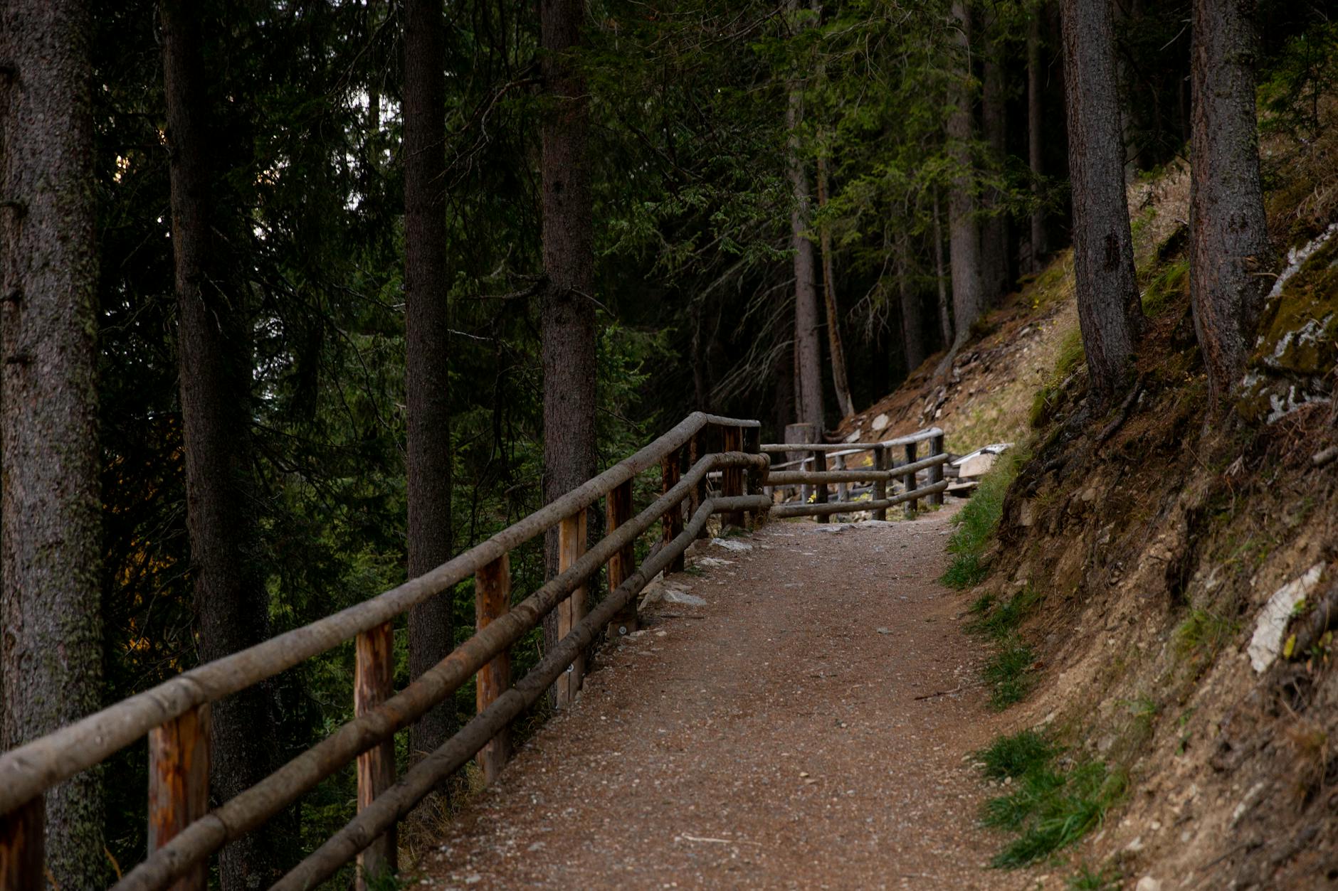 moganshan hiking trail