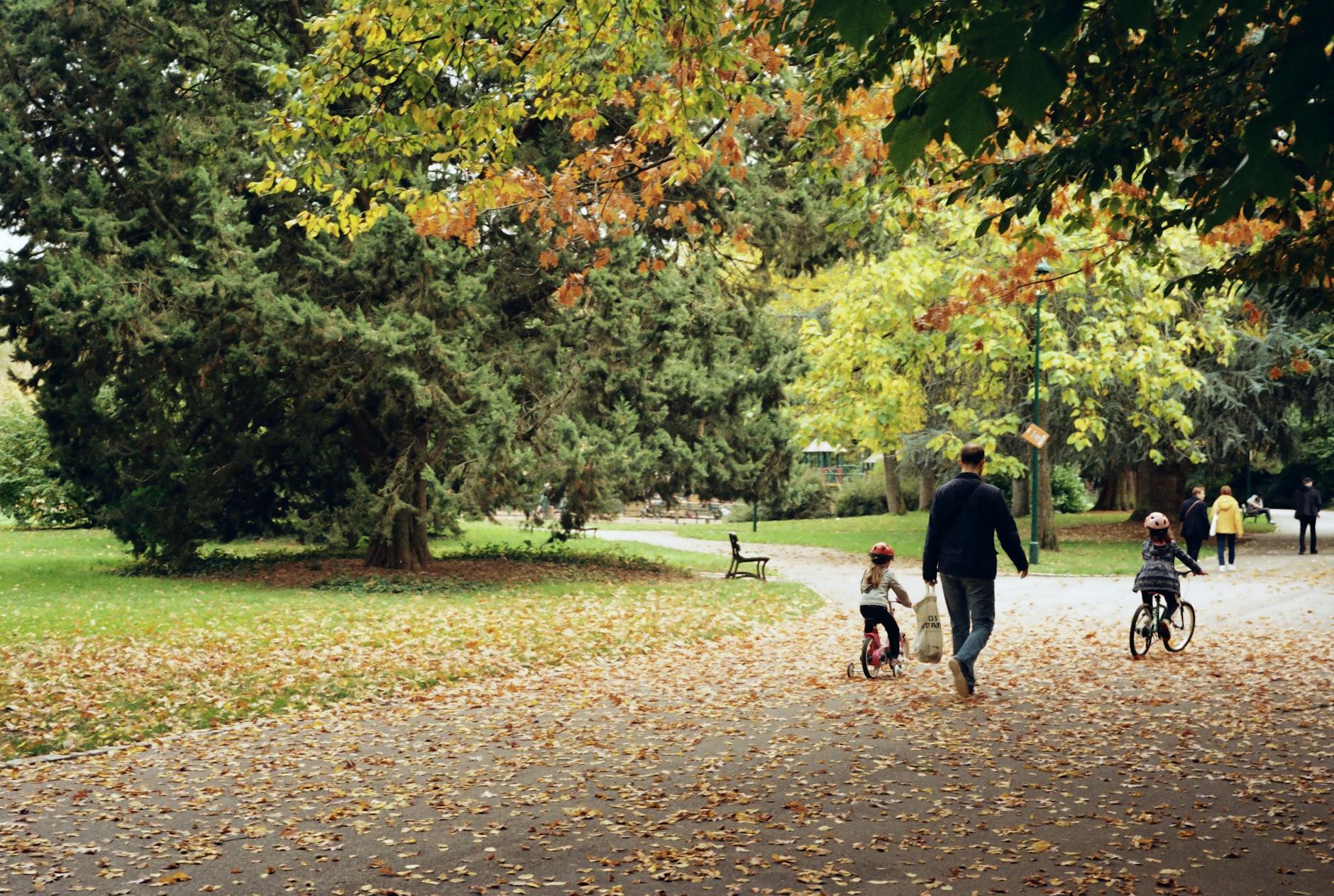 shanghai autumn park people