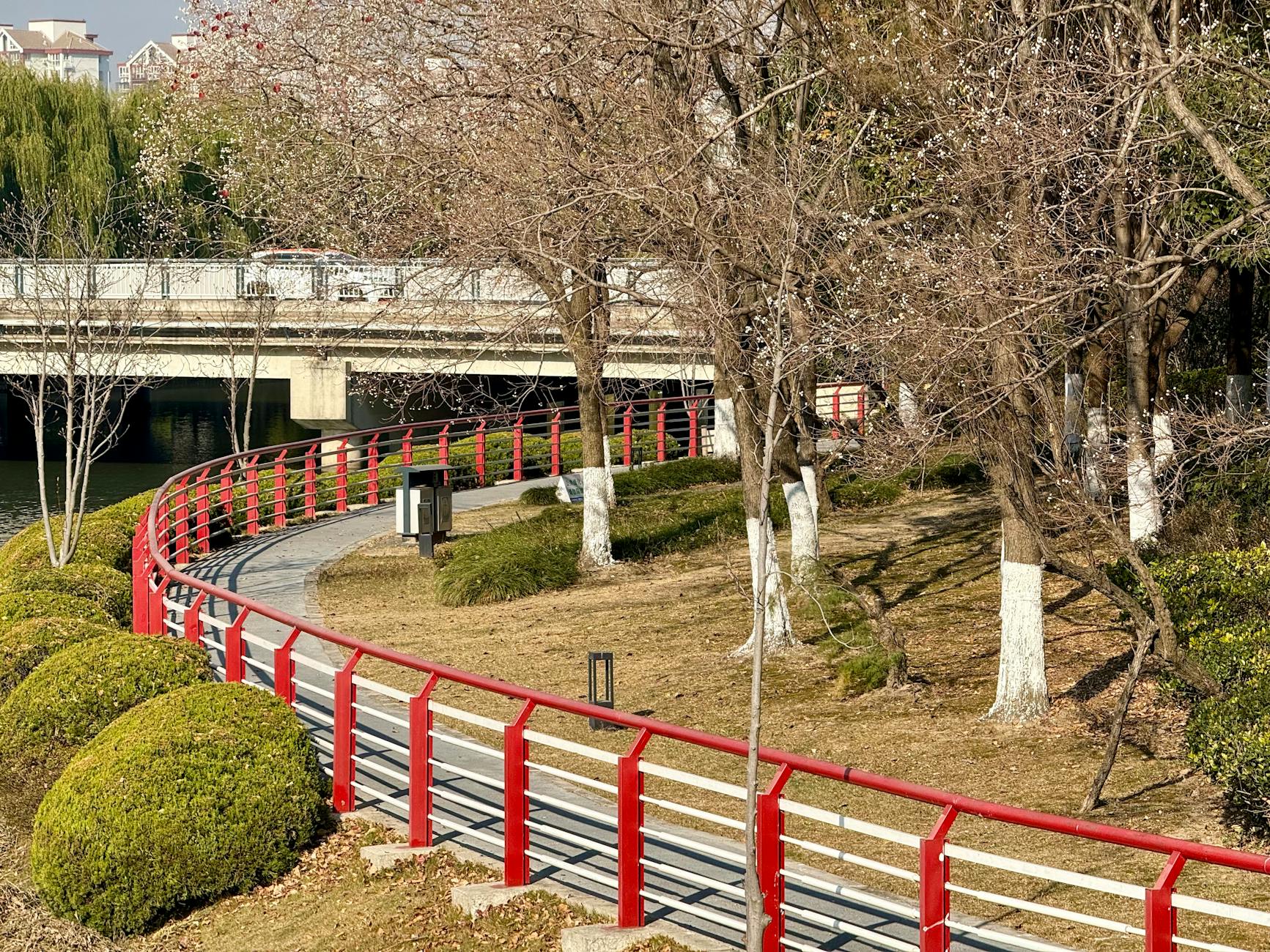 Shanghai in spring park path on a bright sunny day