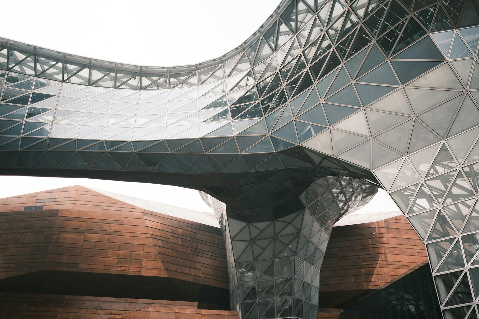 Shanghai Museum exhibits showcasing Chinese art and cultural history