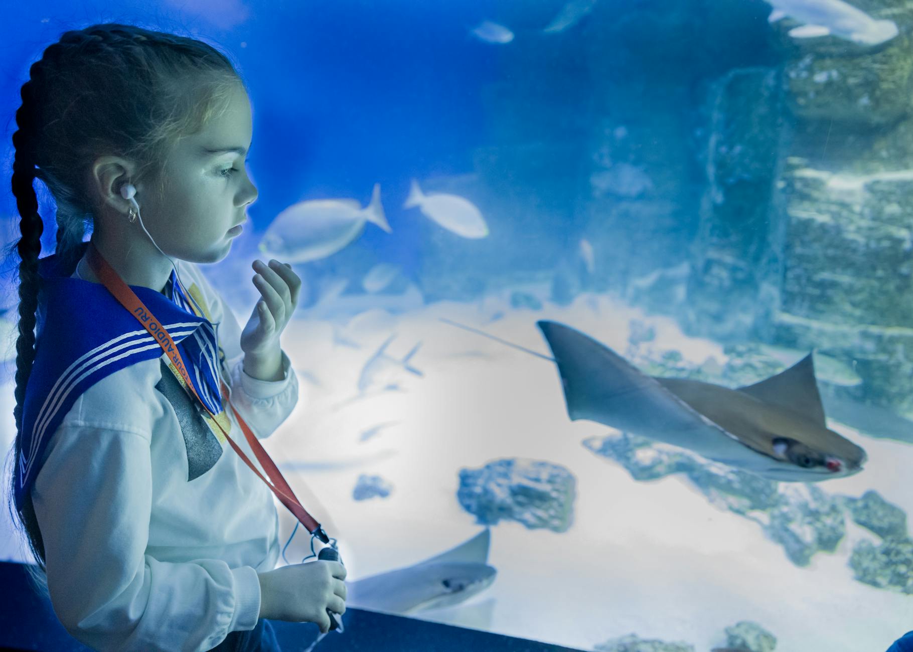 Shanghai with kids watching stingrays at Shanghai Ocean Aquarium