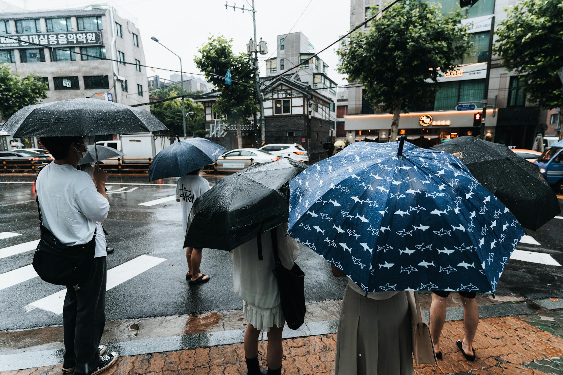 Pedestrians with umbrellas during a summer rain shower on a Shanghai street