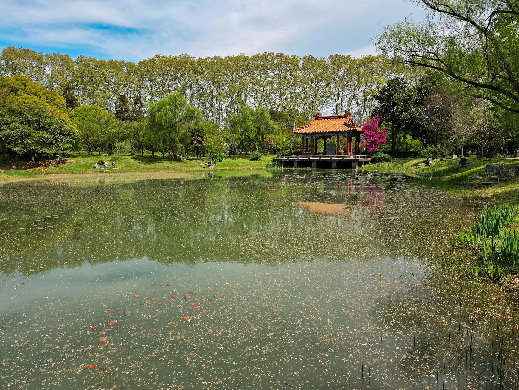 Yu Garden Shanghai pavilion by tranquil reflecting pond