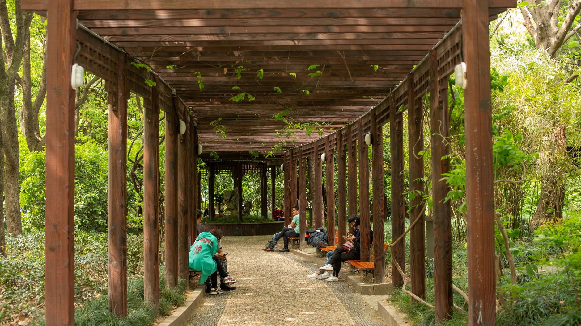 People relaxing in a free public park in Shanghai