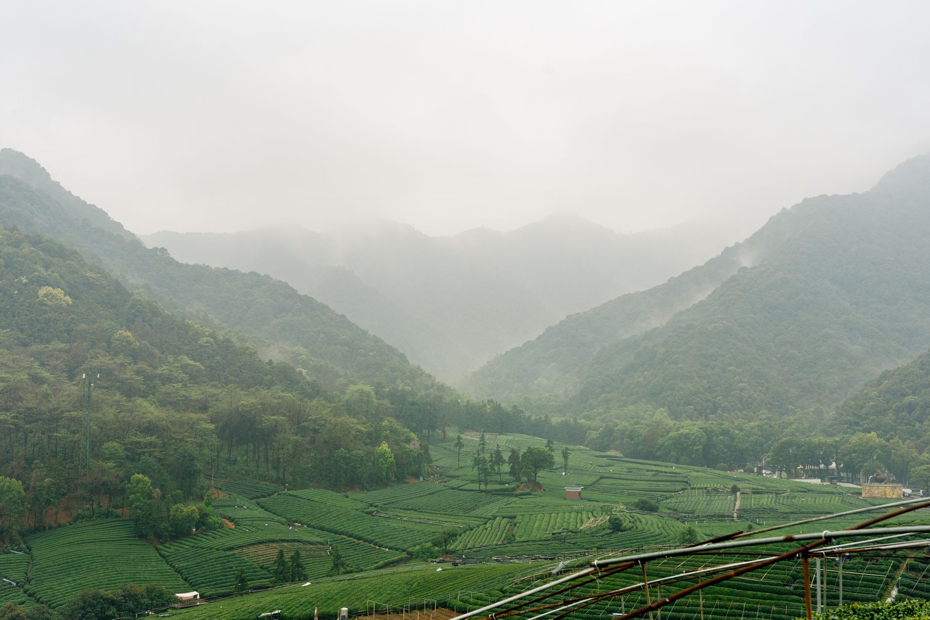 Misty green hills and fields in Zhejiang province on an early morning