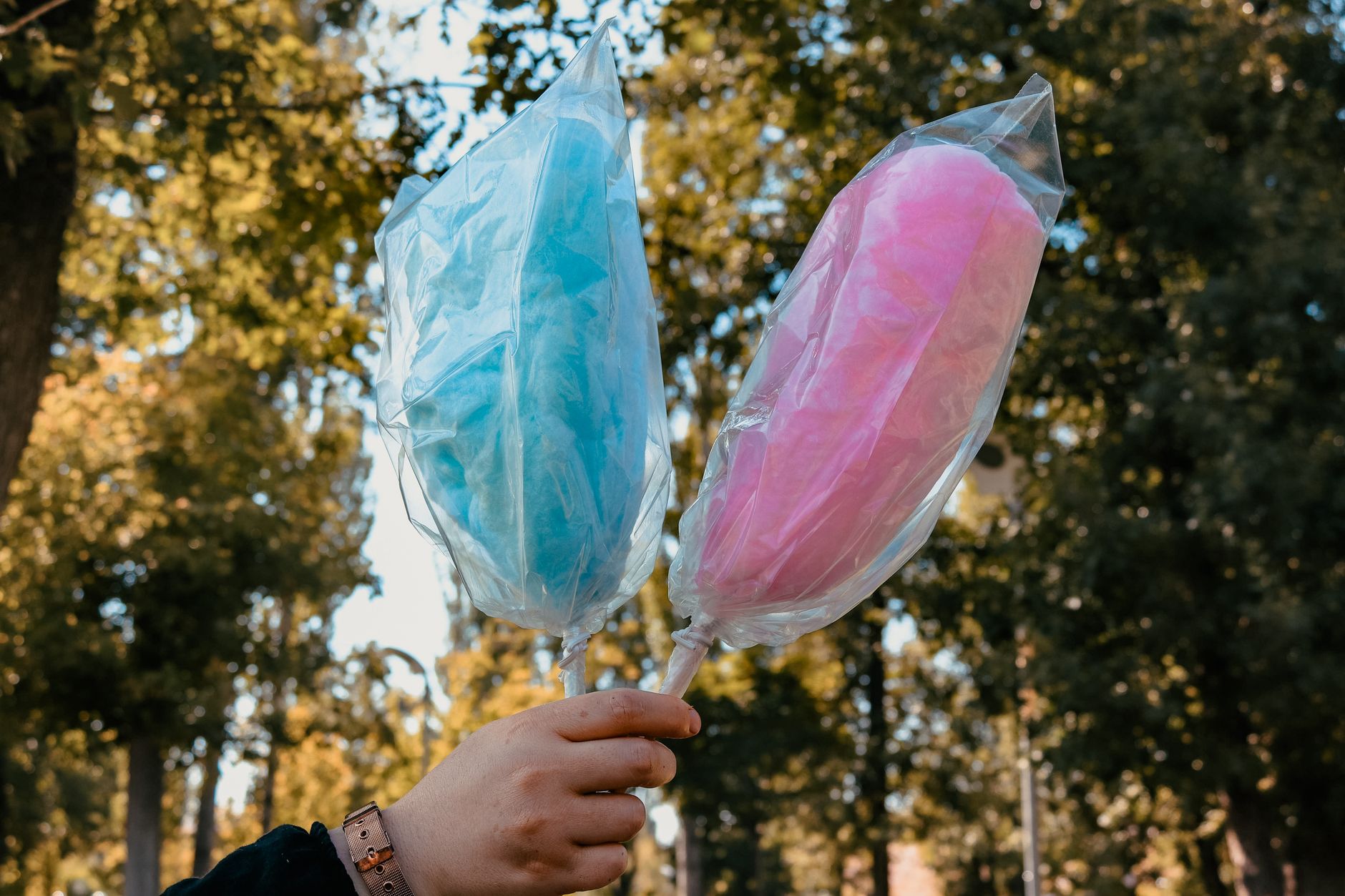 Cotton candy held up at a theme park, the sort of small purchase that adds up over a day