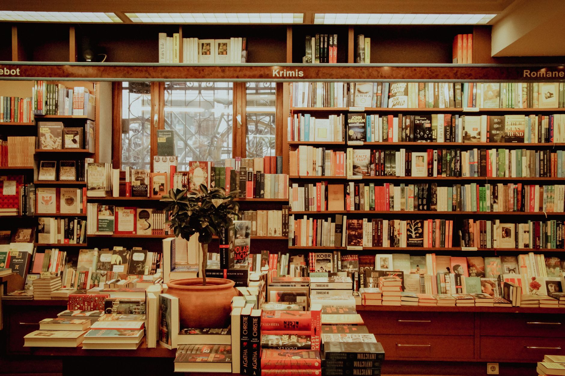 Floor-to-ceiling shelves of books in a bookshop, the kind of place to find Shanghai novels in translation