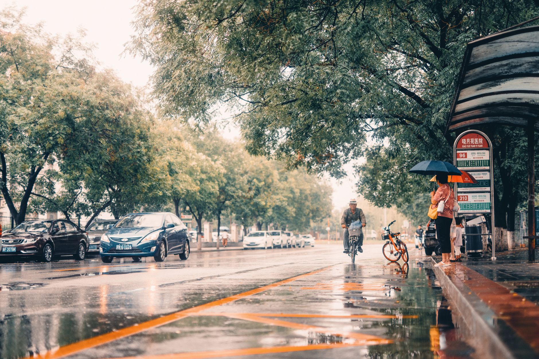 People sheltering under umbrellas on a rainy Chinese city street
