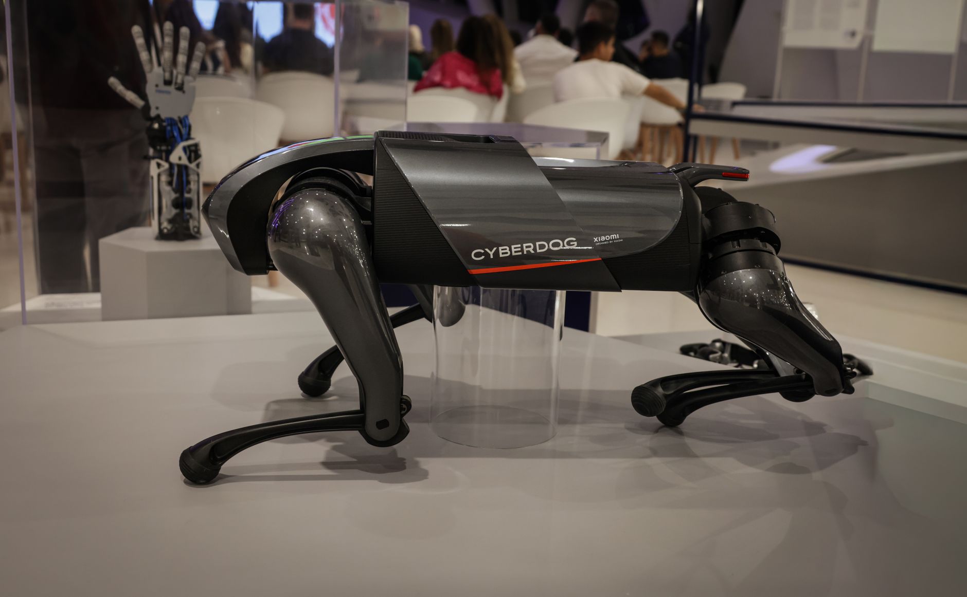 A four-legged robot on display in a robotics gallery, similar to the machines in the museum Tomorrow Explorers zone