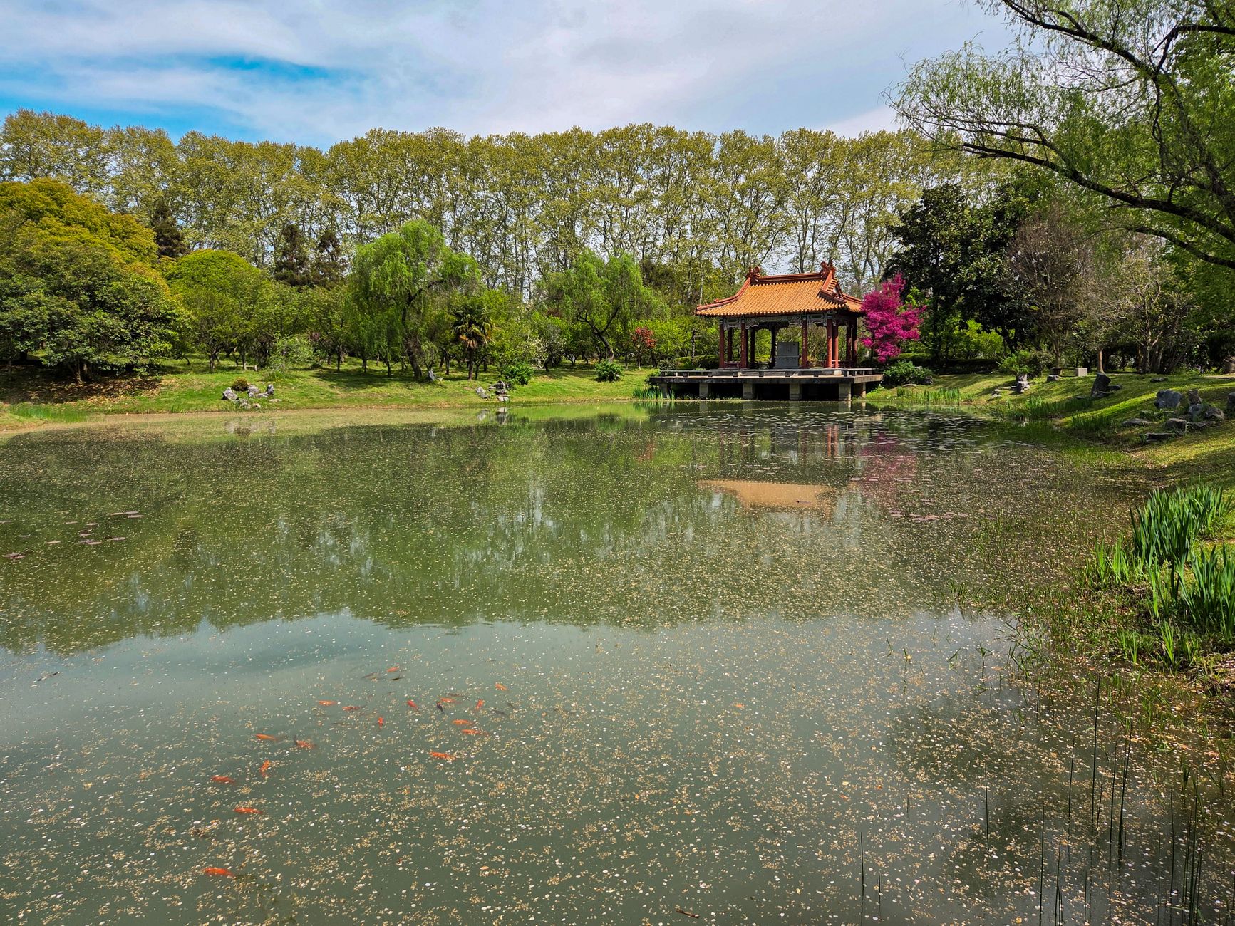 A classical Chinese garden pavilion beside a reflecting pond, the style of garden found at Tongli