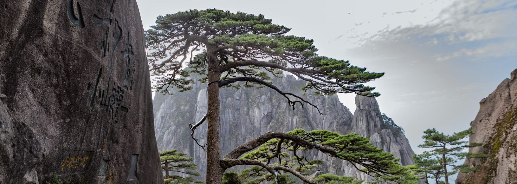 Granite peaks and pine trees above the clouds on Huangshan