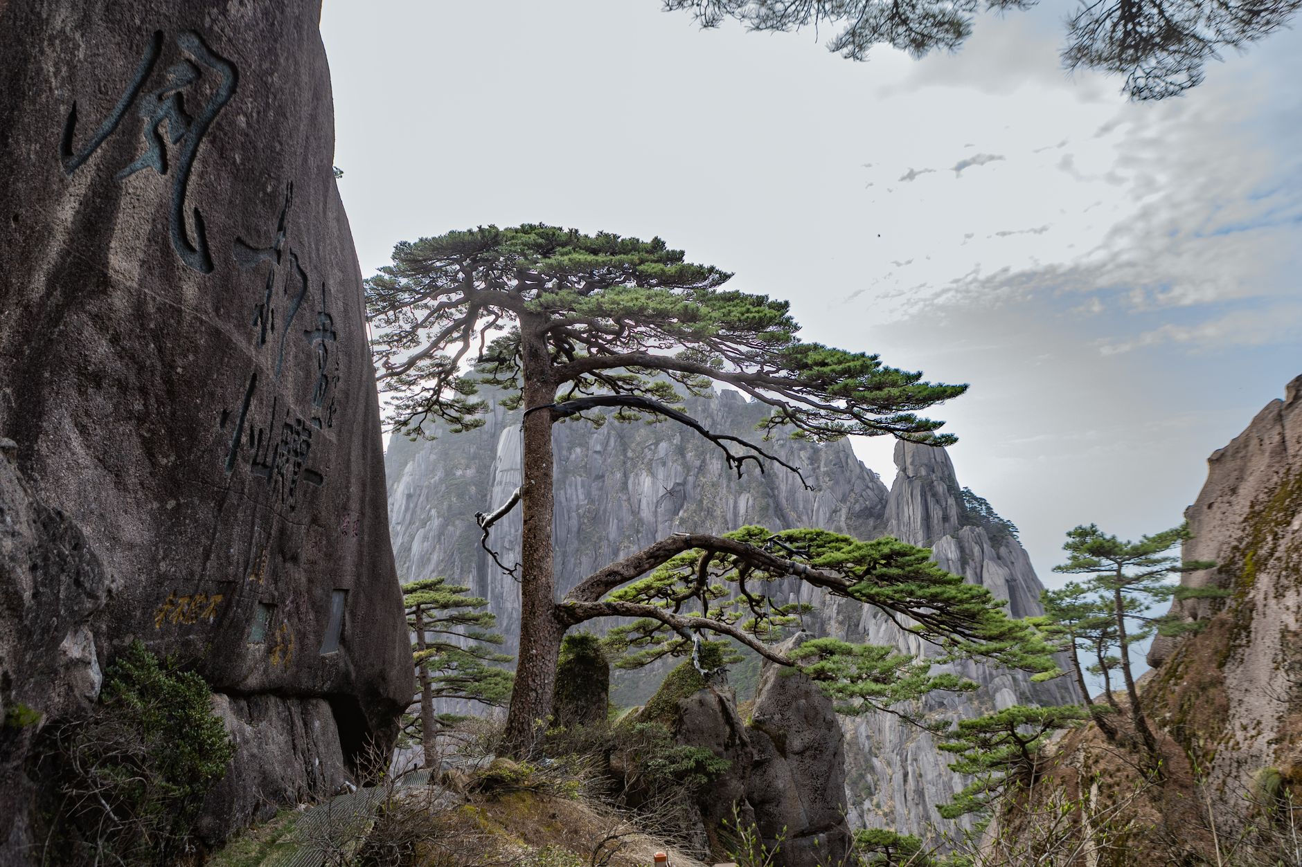 Granite peaks and pine trees above the clouds on Huangshan