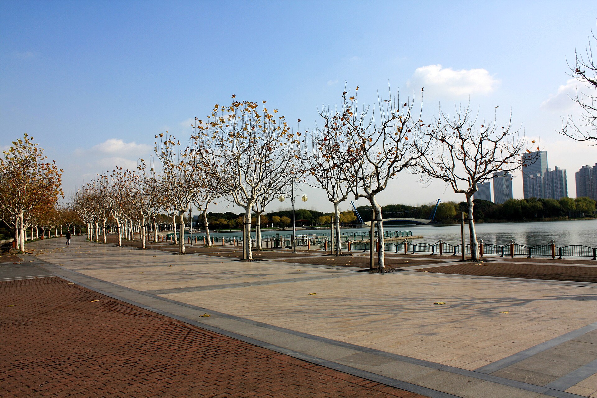 A wide brick lakeside promenade lined with young trees in Century Park, with Pudong towers in the distance